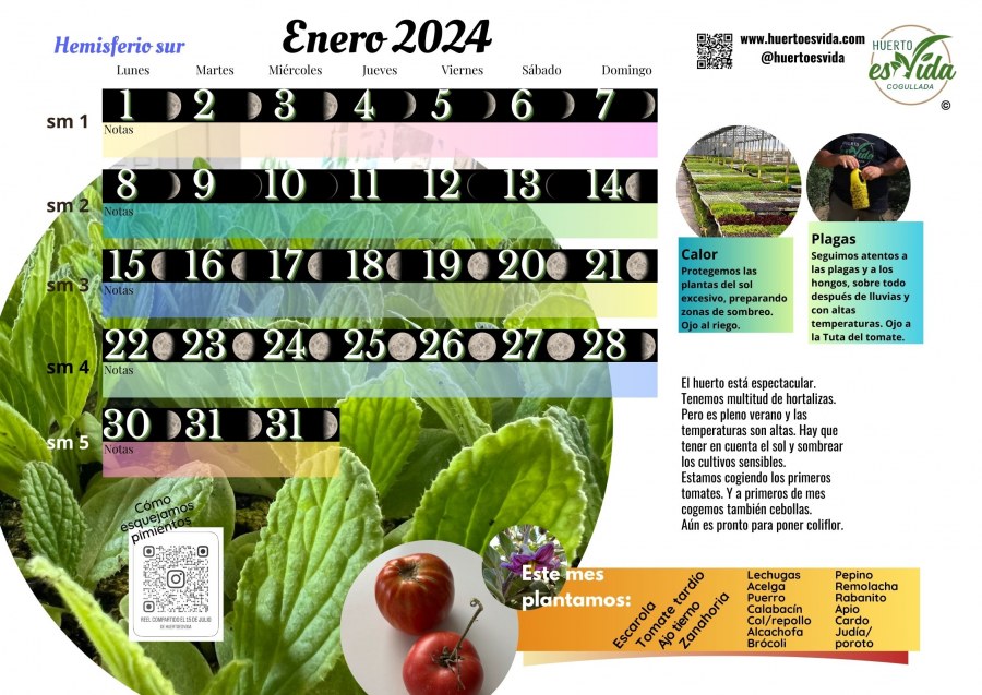 Calendario lunar de cultivo<br />(HEMISFERIO NORTE 2024) - THGrow (Growshop  Online)