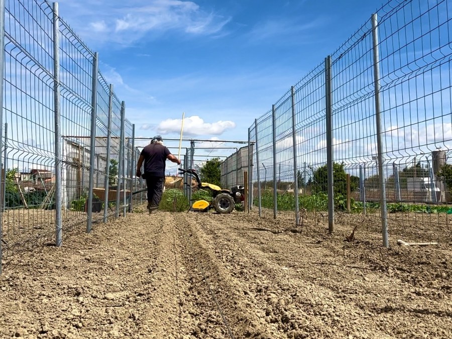 Preparar la TIERRA para plantar TOMATES'