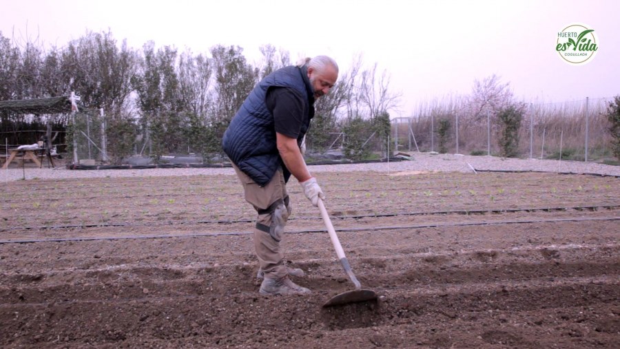 Hoy envolvemos las patatas'
