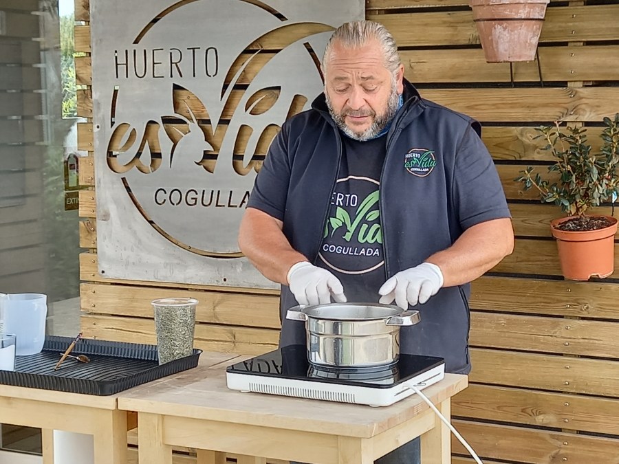 Cómo hacer fungicida con cola de caballo'