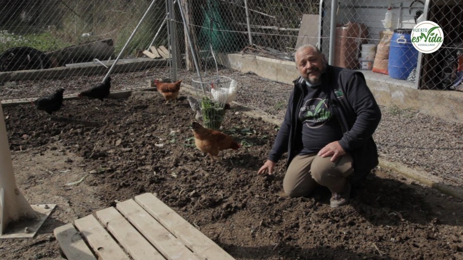 Cómo tener el mejor gallinero. Parte 1'