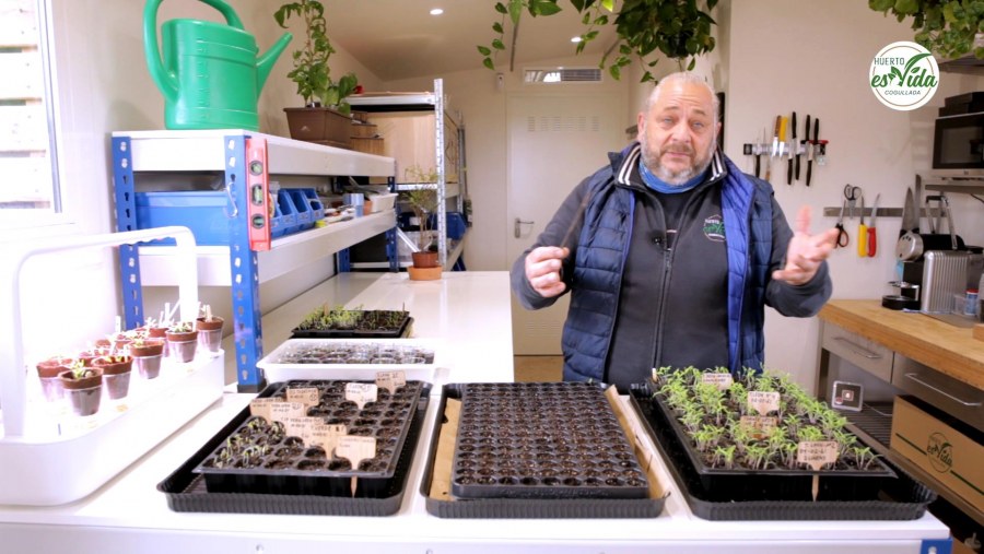 Hacemos plantero de tomates'