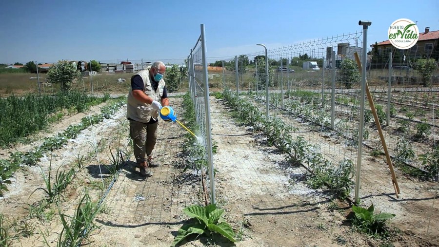Protección solar con tierra de Diatomeas'